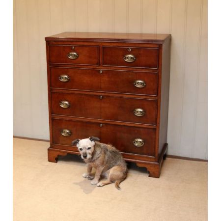 Antike englische Mahagoni Kommode ca 1800