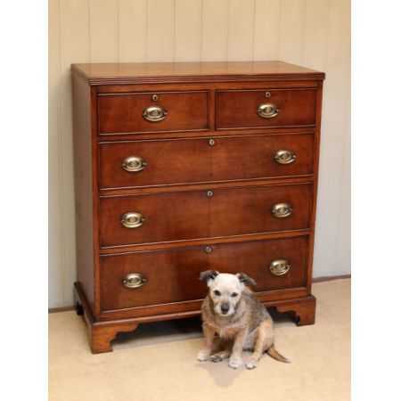 Antike englische Mahagoni Kommode ca 1800