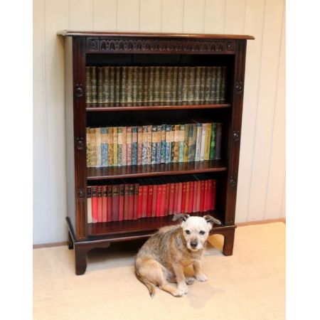 Antiker britischer Buchen Bücherschrank ca 1910