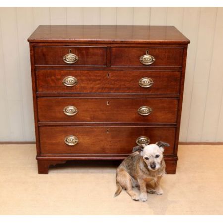 Georgianische antike Eichen Kommode britisch ca 1820