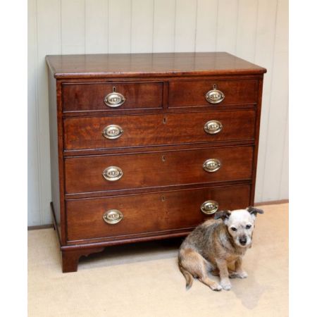 Georgianische antike Eichen Kommode britisch ca 1820