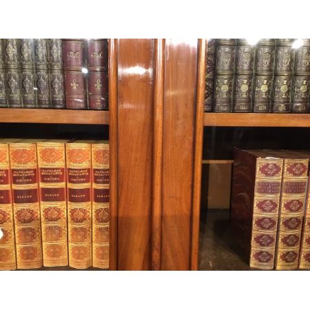 Viktorianischer antiker Mahagoni Bücherschrank britisch ca 1860
