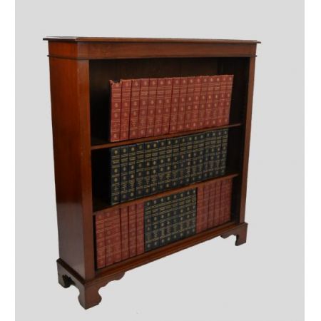 Viktorianischer antiker Mahagoni Bücherschrank britisch ca 1890