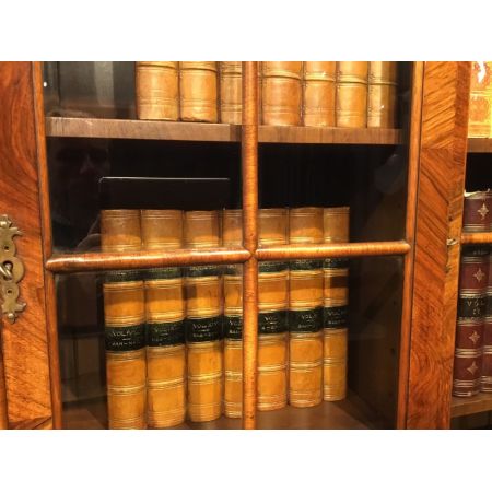 Antiker britischer Nussbaum Bücherschrank ca 1920