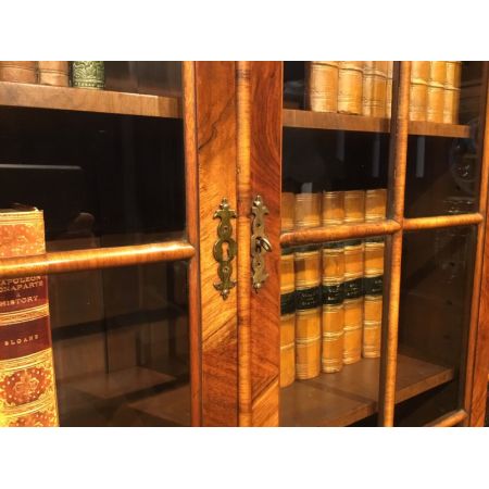 Antiker britischer Nussbaum Bücherschrank ca 1920