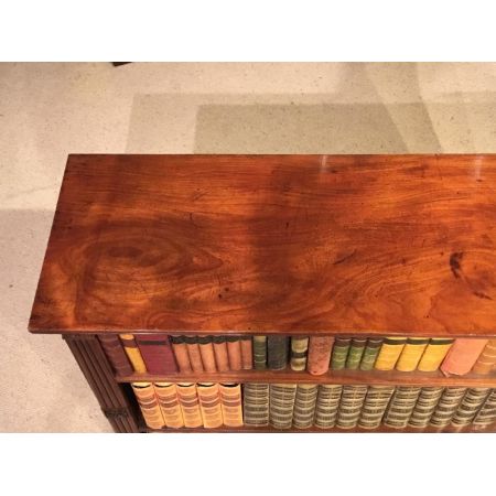 Antikes original britisches Regency Bücherregal Mahagoni ca 1820