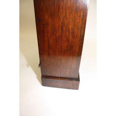 Antiker englischer Palisander Bücherschrank ca 1800