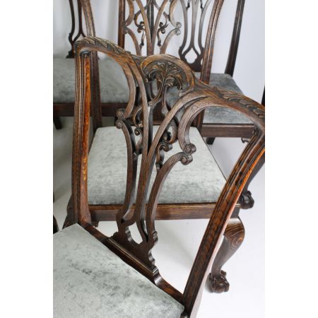 Edwardianische antike Chippendale Stühle Eiche englisch ca 1905