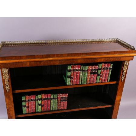 Viktorianisches antikes Nussbaum Bücherregal englisch ca 1860