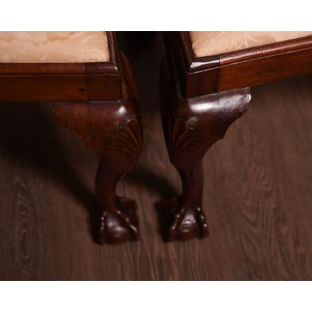 Englische edwardianische Mahagoni Stühle Chippendale antik ca 1890