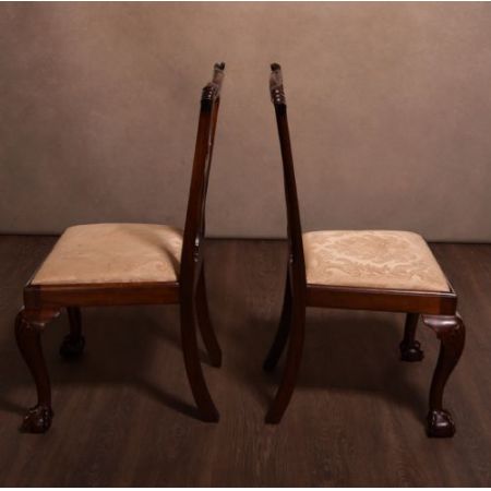 Englische edwardianische Mahagoni Stühle Chippendale antik ca 1890