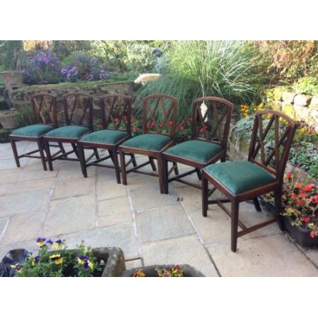 Georgianische antike Mahagoni Stühle englisch ca 1800