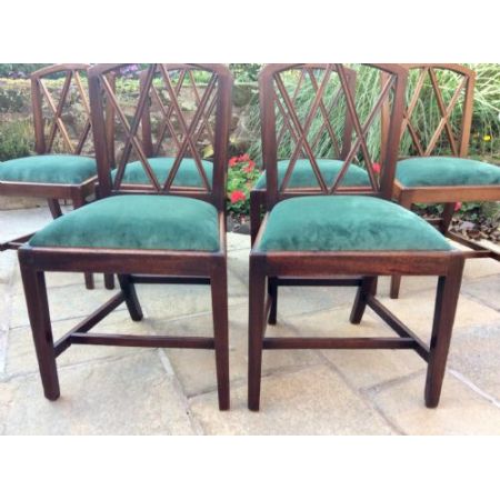 Georgianische antike Mahagoni Stühle englisch ca 1800