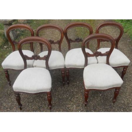 Viktorianische antike Mahagoni Stühle britisch ca 1850