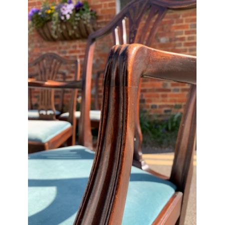 Antike britische Hepplewhite Stühle Mahagoni ca 1890