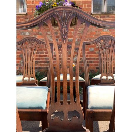 Antike britische Hepplewhite Stühle Mahagoni ca 1890