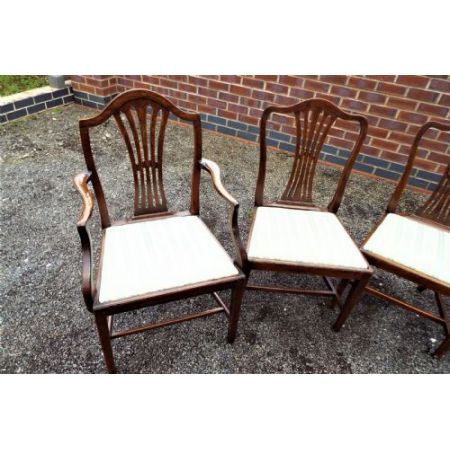 Antike  Massive Mahagoni Stühle britisch stil  ca 1780