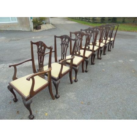 Antike britische Mahagoni Stühle ca 1890