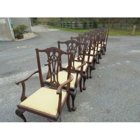 Antike britische Mahagoni Stühle ca 1890