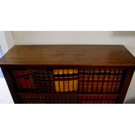 Antiker Mahagoni Bücherschrank Massivholz ca 19. Jahrhundert