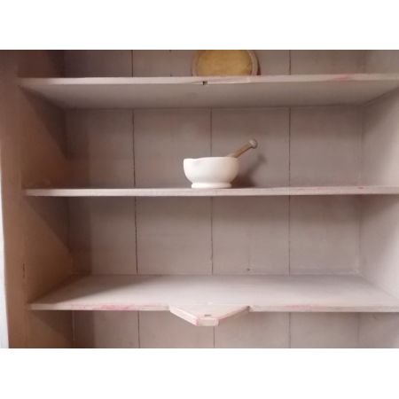 Viktorianischer Kiefern Bücherschrank antik 19. Jahrhundert