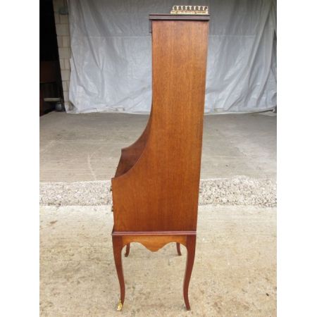 Antiker Bücherschrank aus Mahagoni Massivholz