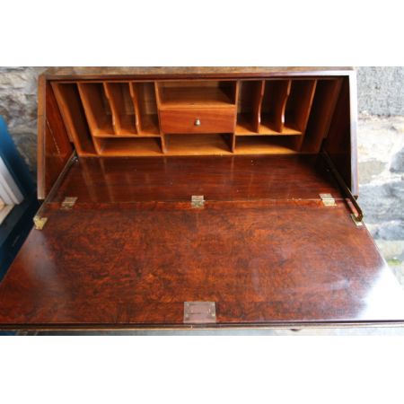  Bureau ,eingelegt, Gratwalnußholz ,  edwardian Stilepoche 