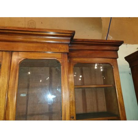 Bücherschrank aus Mahagoni mit Frontausschnitt aus dem 19. Jahrhundert