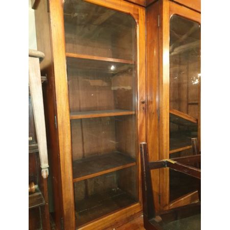 Bücherschrank aus Mahagoni mit Frontausschnitt aus dem 19. Jahrhundert