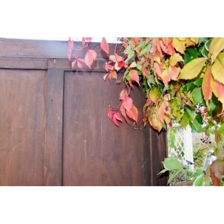 Bücherschrank, Breakfront-Sekretär, Palisander, 19. Jahrhundert, antik 