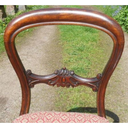 Paar antiker viktorianischer Stühle Dining Chairs aus Mahagoni ca 1850