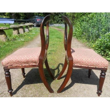 Paar antiker viktorianischer Stühle Dining Chairs aus Mahagoni ca 1850