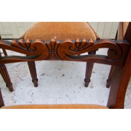 Set von 6 Stühlen Mahagoni William iv