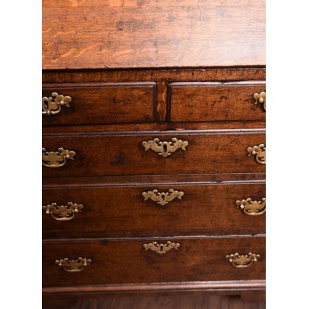 Eichen Schreibbureau georgianischer Stil 