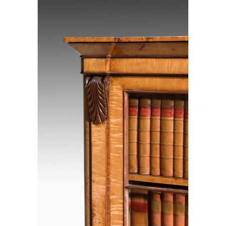 antike Birkenbibliothek Anfang des 18. Jahrhunderts