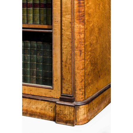 antike Birkenbibliothek Anfang des 18. Jahrhunderts