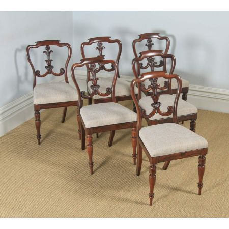 Antikes Set/Satz von sechs aus englischem Palisanderholz ca, 1835)