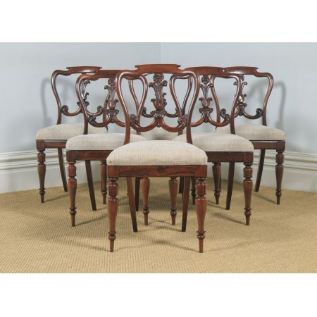 Antikes Set/Satz von sechs aus englischem Palisanderholz ca, 1835)