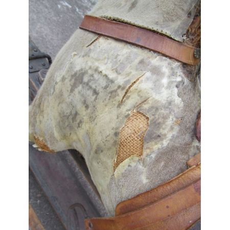 Viktorianisches Buchenholz Schaukelpferd Massivholz antik ca 1880