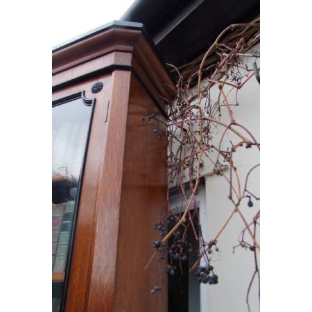 Eichen Bücherschrank Massivholz antik 19. Jahrhundert