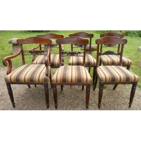 Sechs Regency Mahagoni Stühle Massivholz antik ca 1830