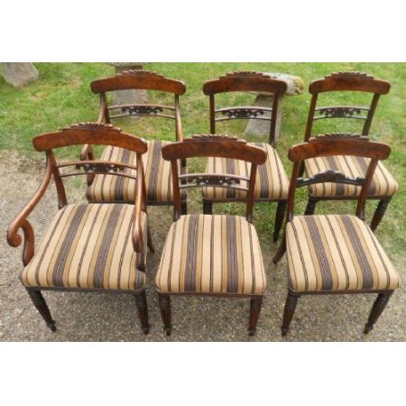 Sechs Regency Mahagoni Stühle Massivholz antik ca 1830