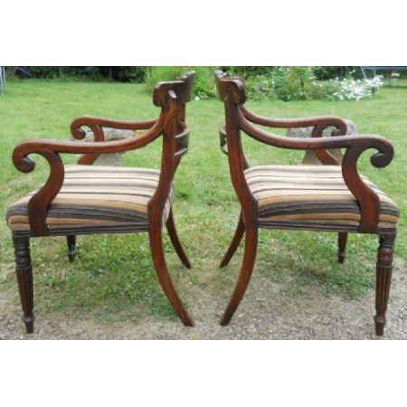 Sechs Regency Mahagoni Stühle Massivholz antik ca 1830