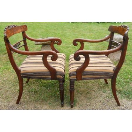 Sechs Regency Mahagoni Stühle Massivholz antik ca 1830