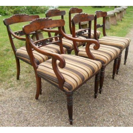 Sechs Regency Mahagoni Stühle Massivholz antik ca 1830