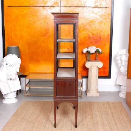 antiker Bücherschrank Buchsbaum mit Mahagoni-Glasur Massivholz 1900