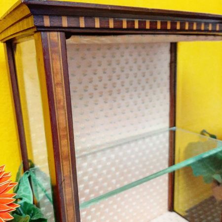 Viktorianische Tischvitrine aus Mahagoni