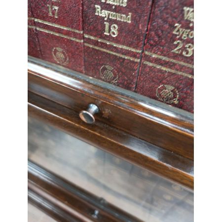 Antikes globe wernicke barristers Bücherregal aus Mahagoni