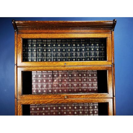 Antiker Eichen Bücherschrank im Globe Wernicke Stil