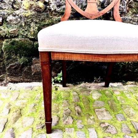 Antikes Paar edwardianischer Side Chairs aus Mahagoni